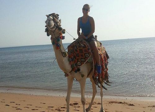 Camel Ride from El Gouna: Private Sea and Desert Trips